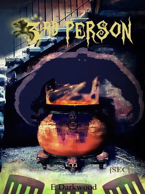cover image of 3rd Person
